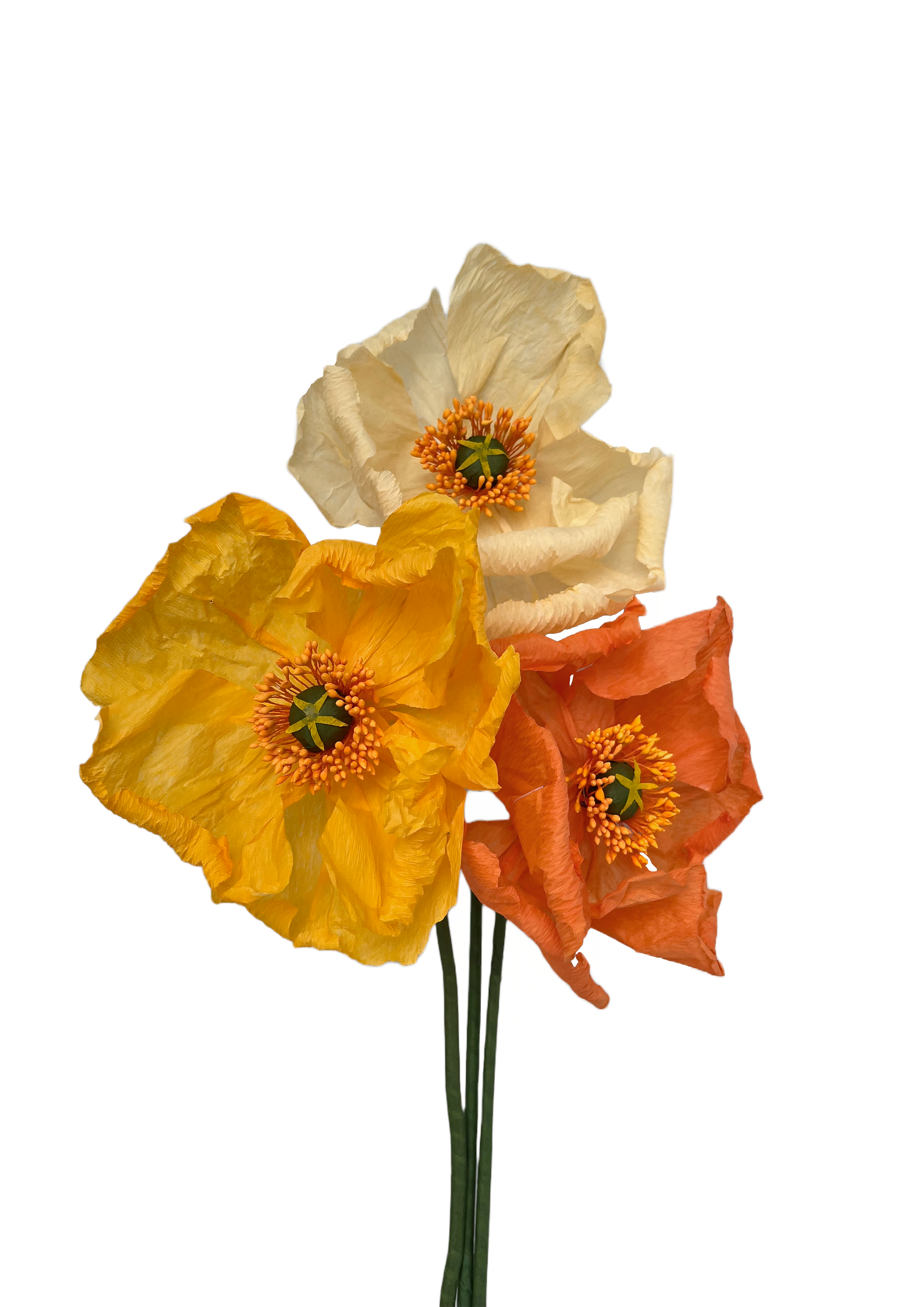 PAPIRBLOMST: GUL POPPY