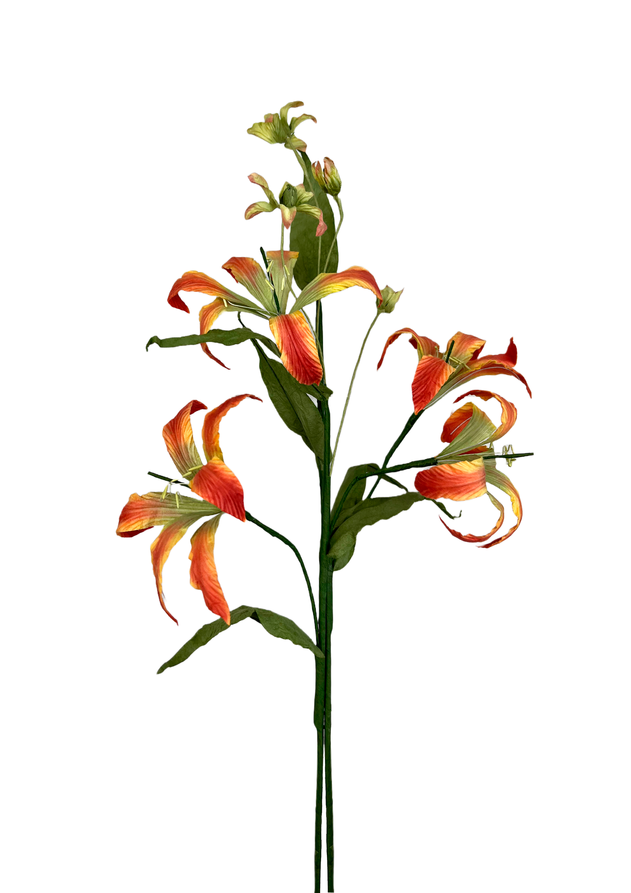 EVIGHEDSBLOMST: KLATRELILJE