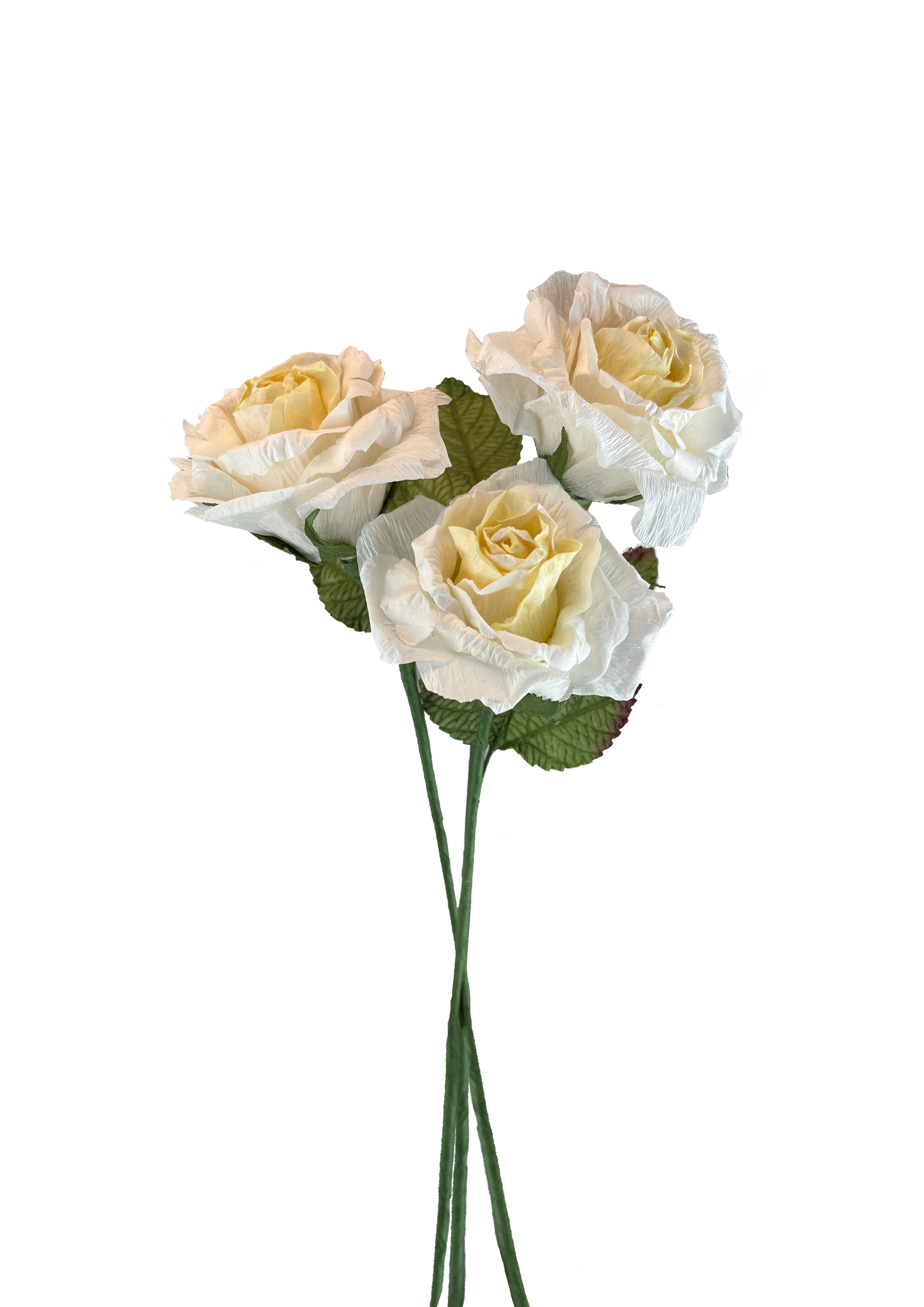 EVIGHEDSBLOMST: HVID ROSE I PAPIR