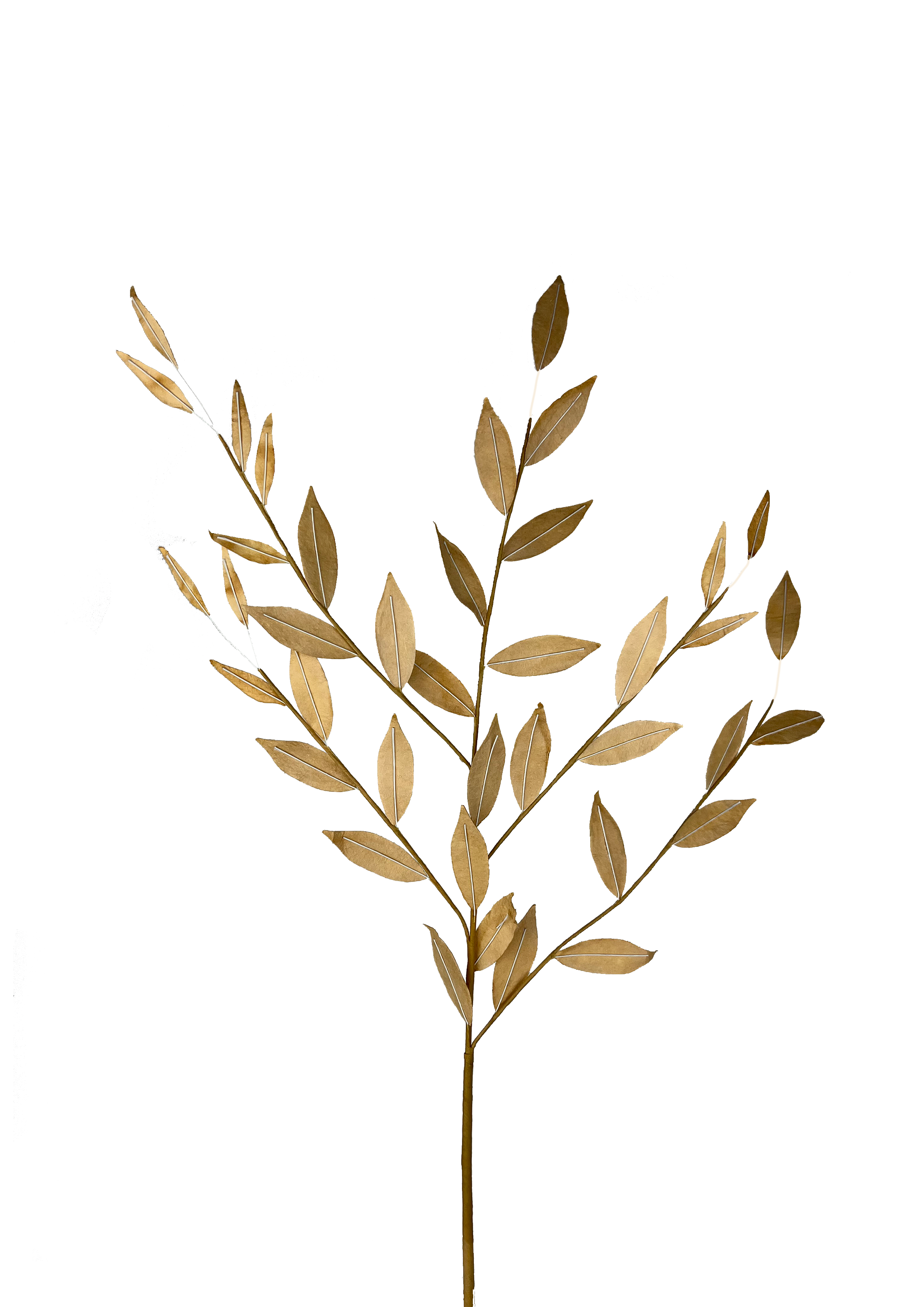 EVIGHEDSBLOMST: KORNSTRÅ