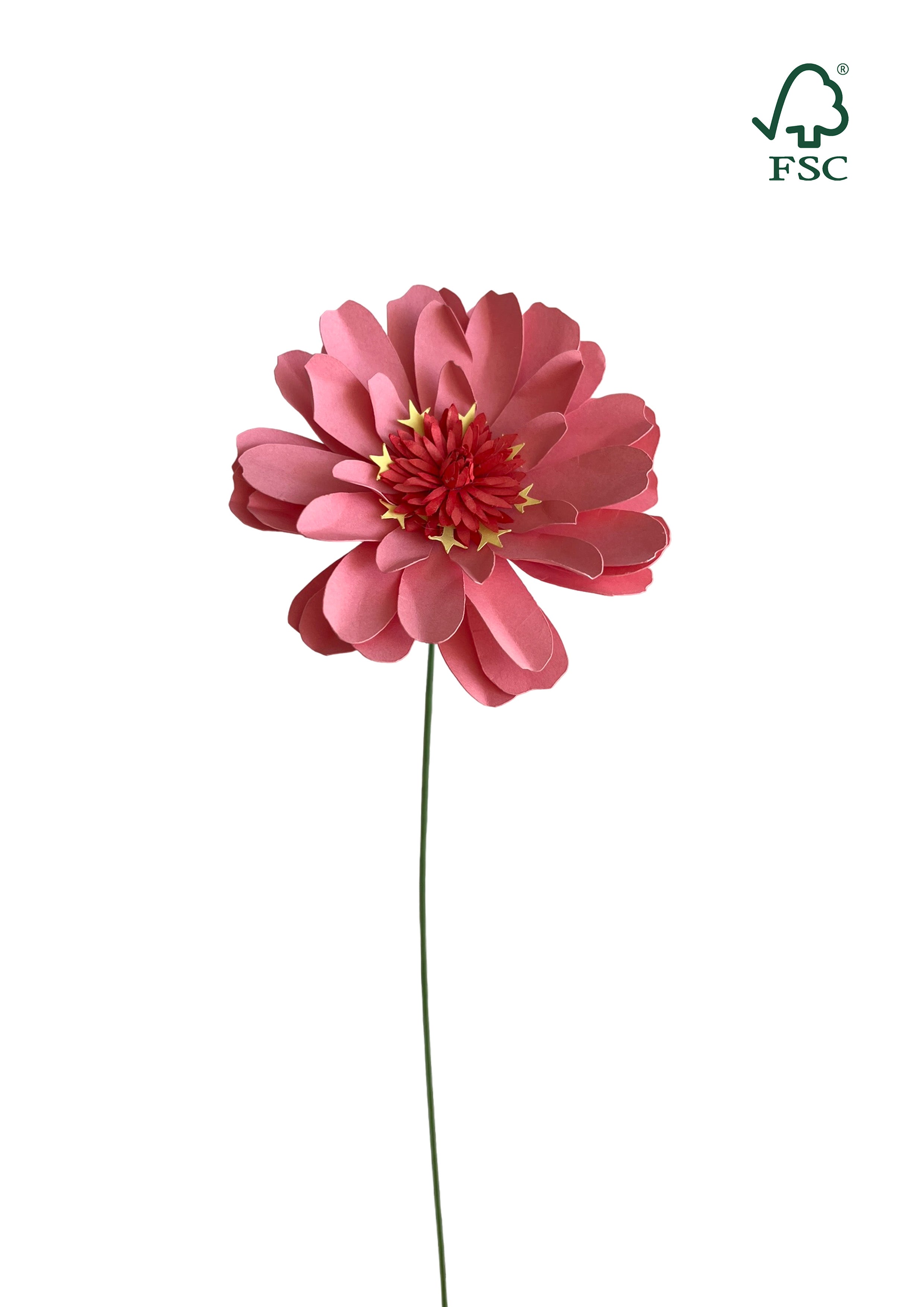 Nordic Zinnia – håndlavet frøkenhat evighedsblomst i FSC-papir