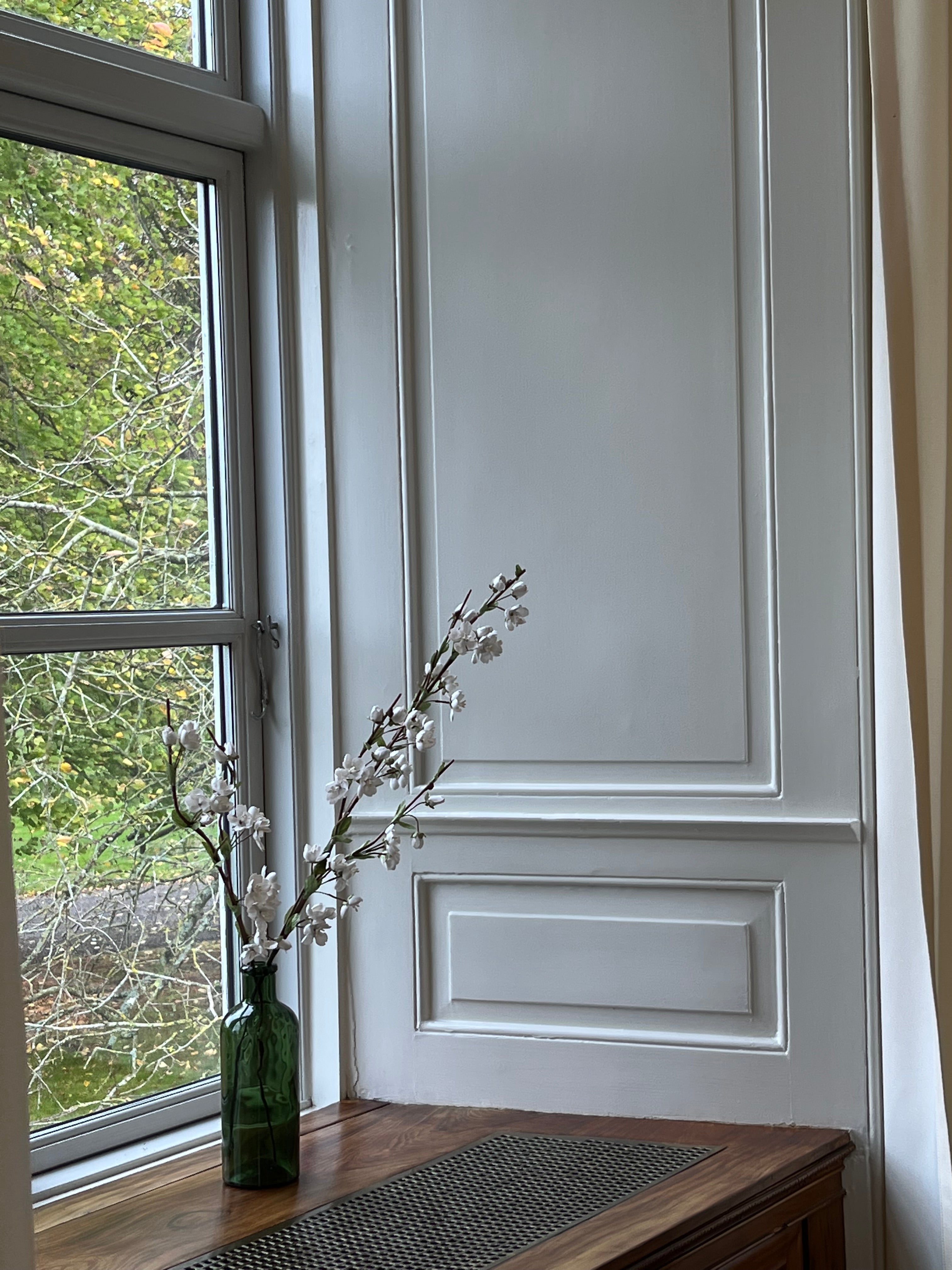 EVIGHEDSBLOMST: KIRSEBÆRGREN - STOR