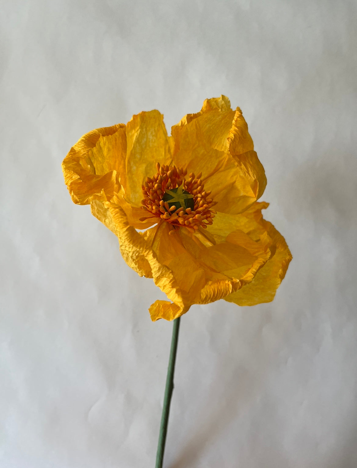 PAPIRBLOMST: GUL POPPY