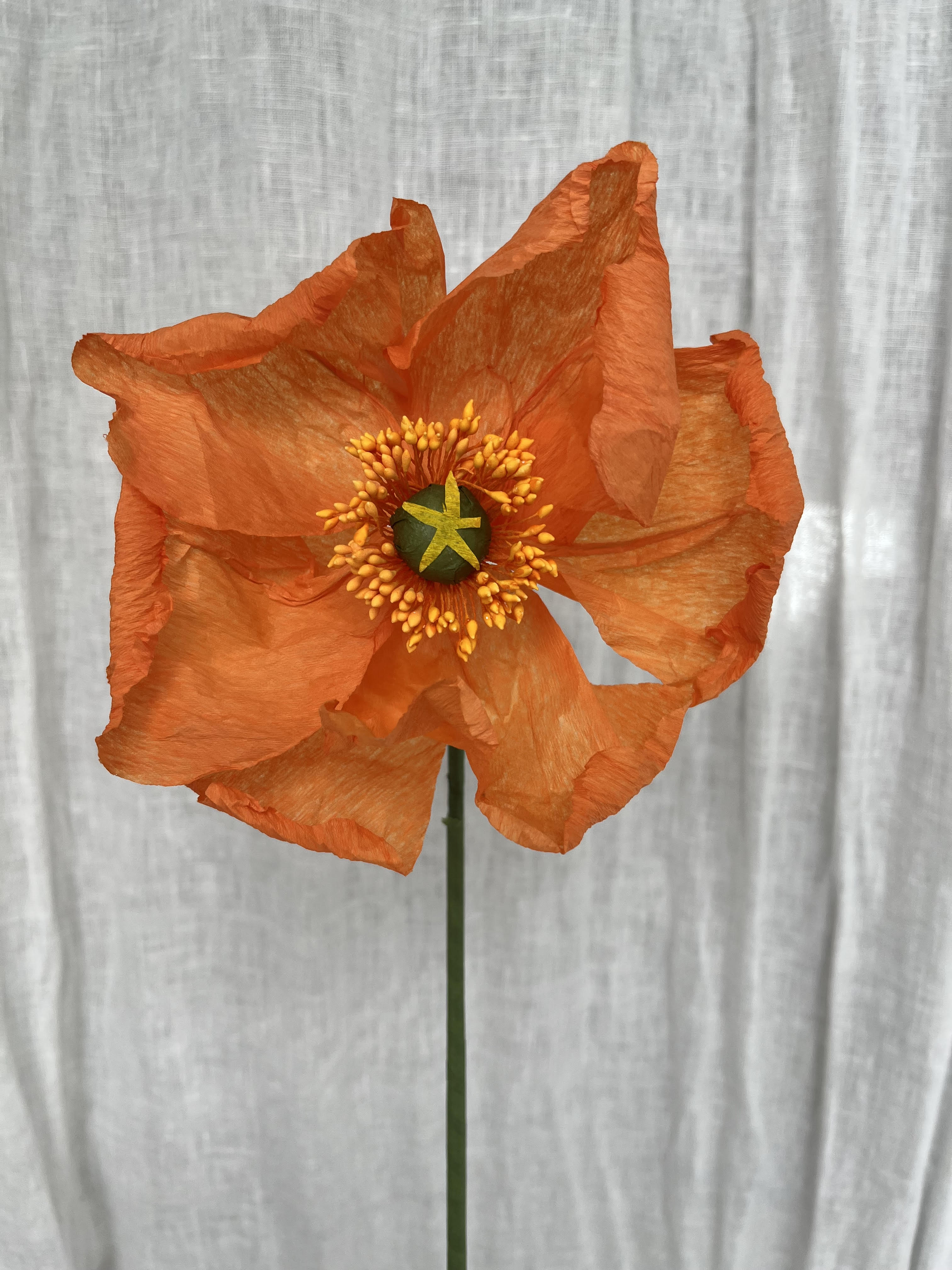 PAPIRBLOMST: ORANGE POPPY