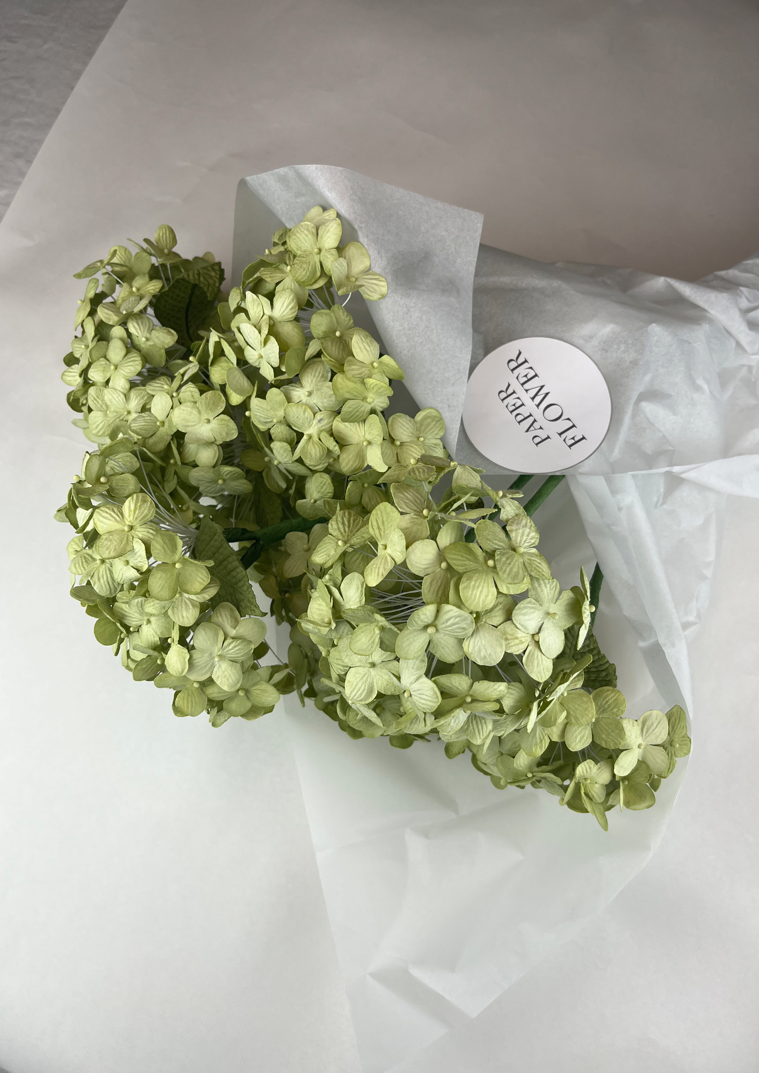 EVIGHEDSBLOMST: HORTENSIA