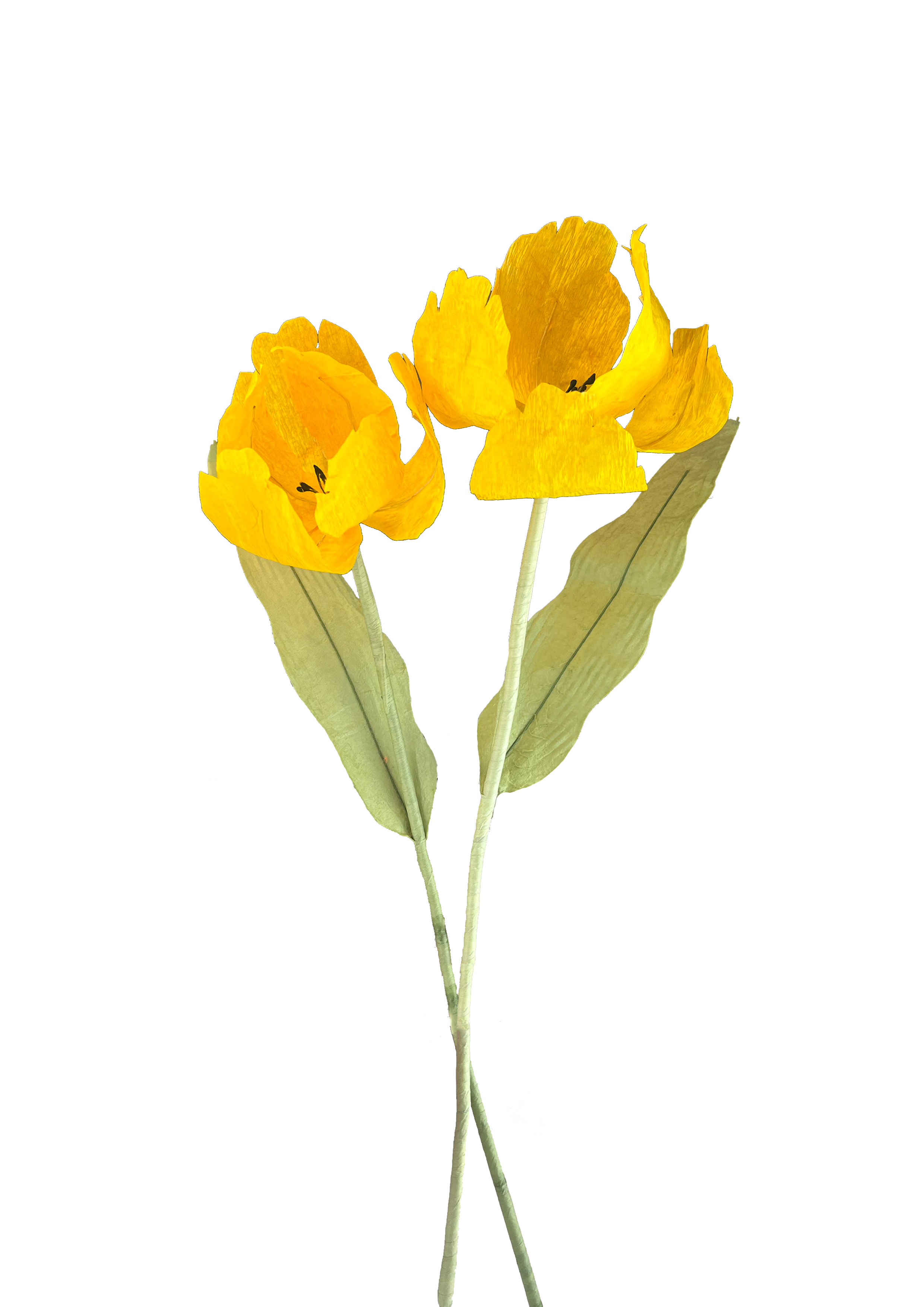 CREPE PAPIRBLOMST: GUL TULIPAN