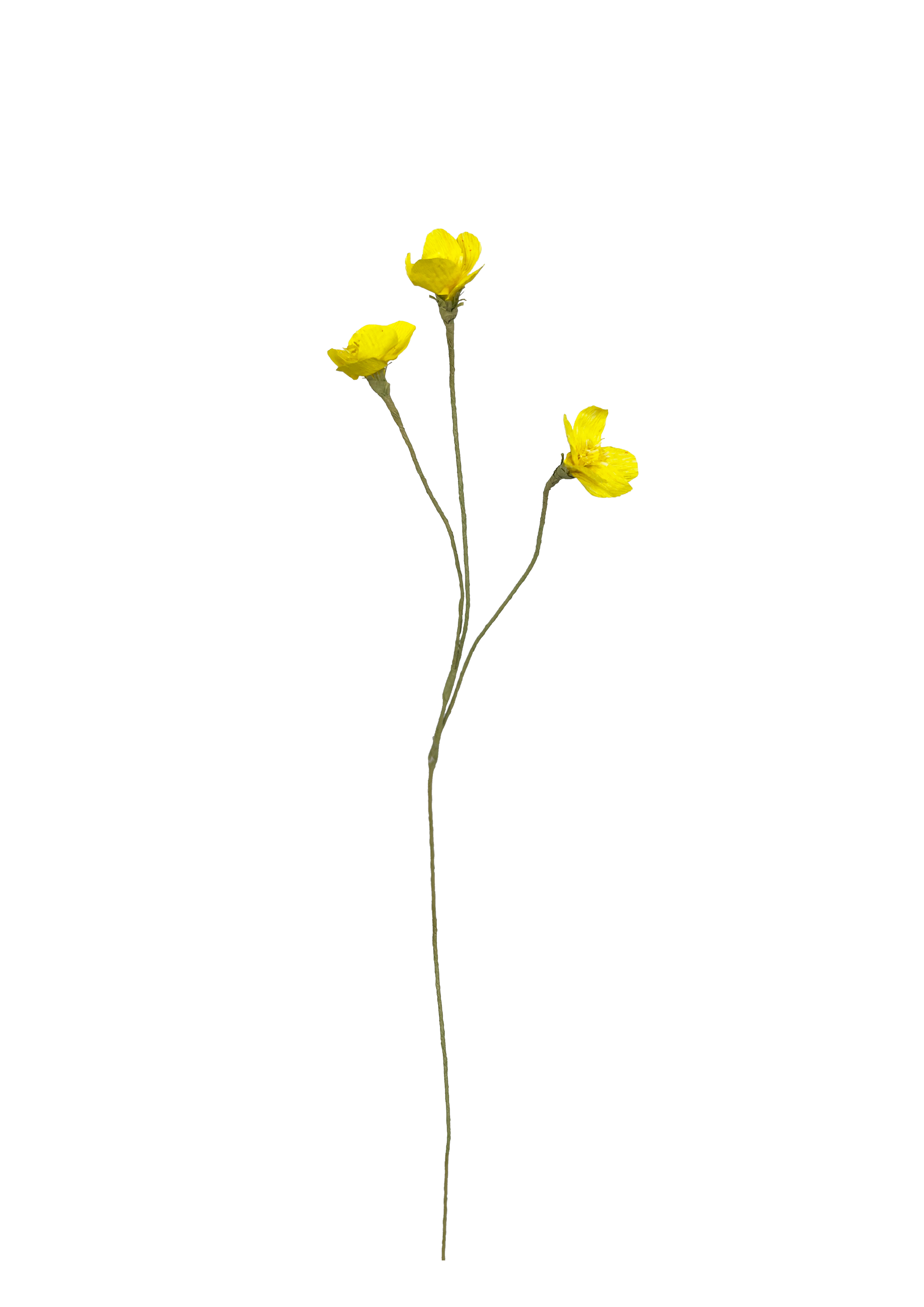 PAPIRBLOMSTER: GUL SMØRBLOMST