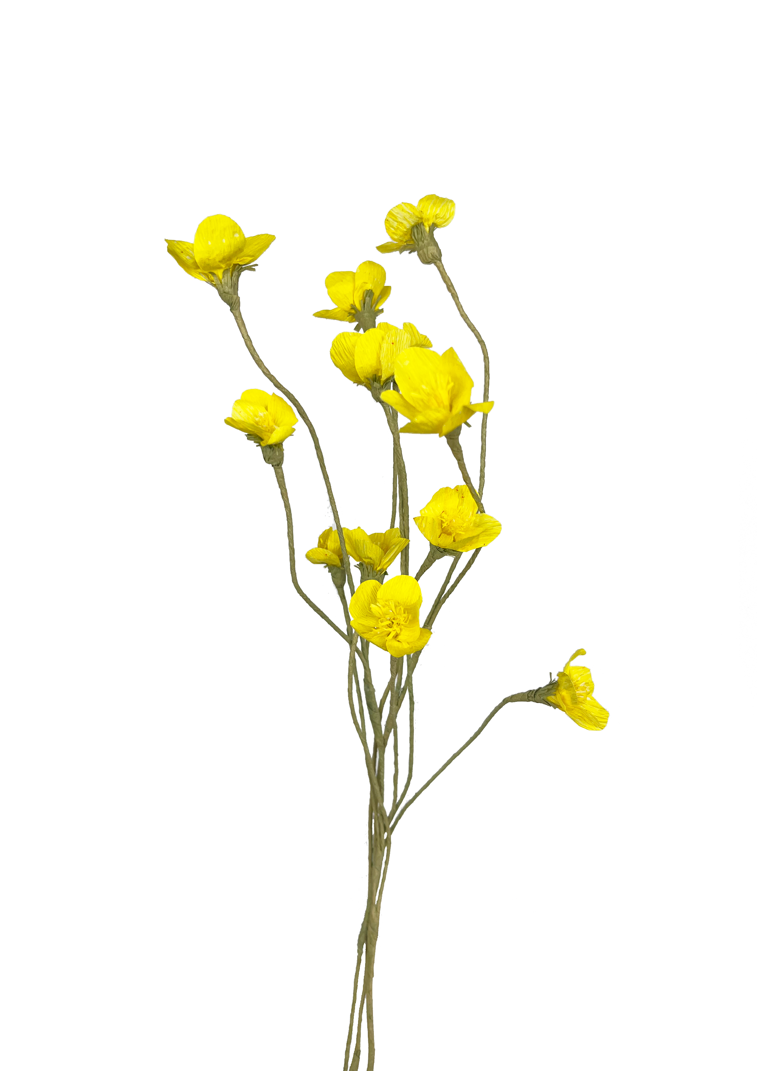 PAPIRBLOMSTER: GUL SMØRBLOMST