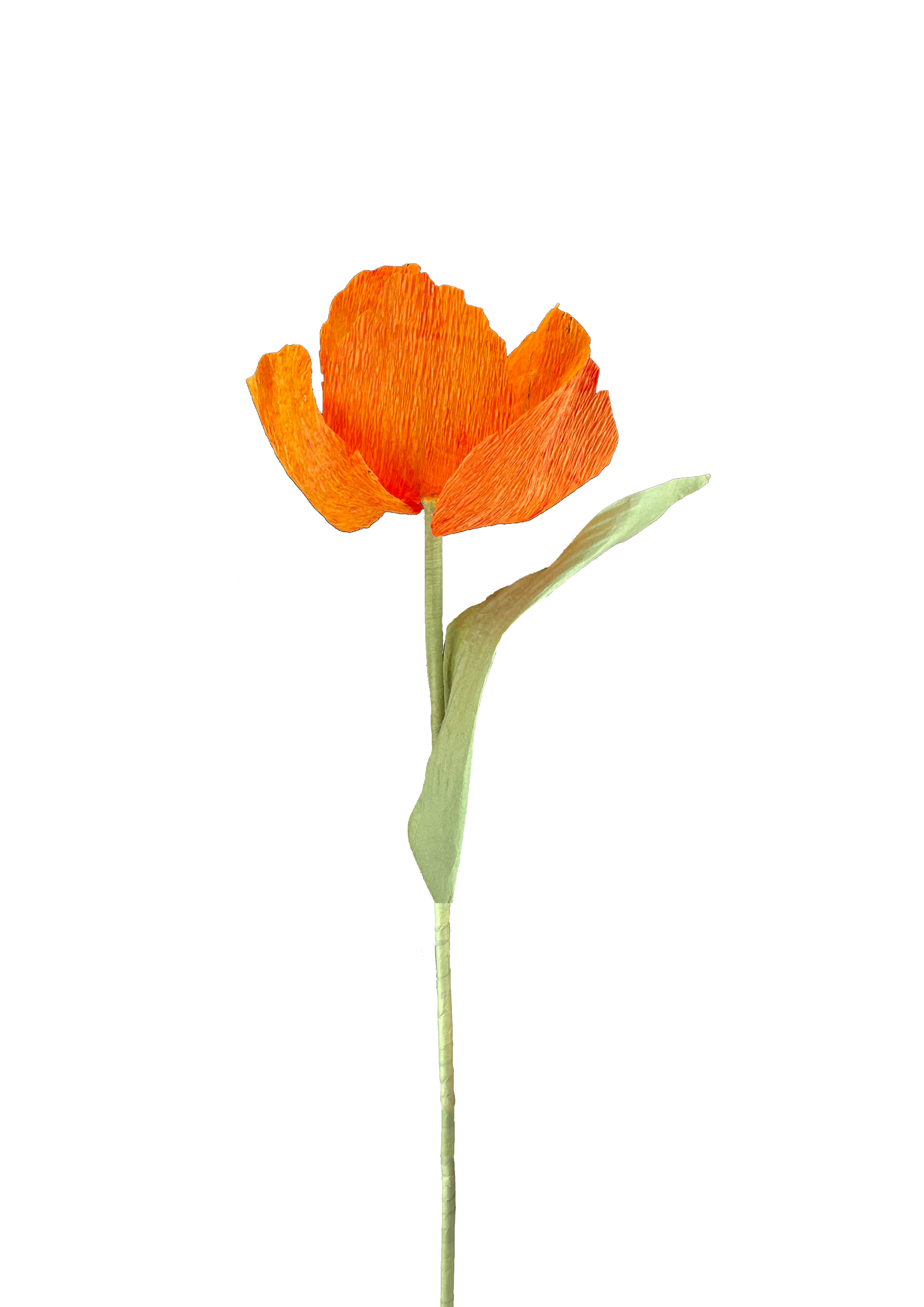 CREPE PAPIRBLOMST: ORANGE TULIPAN