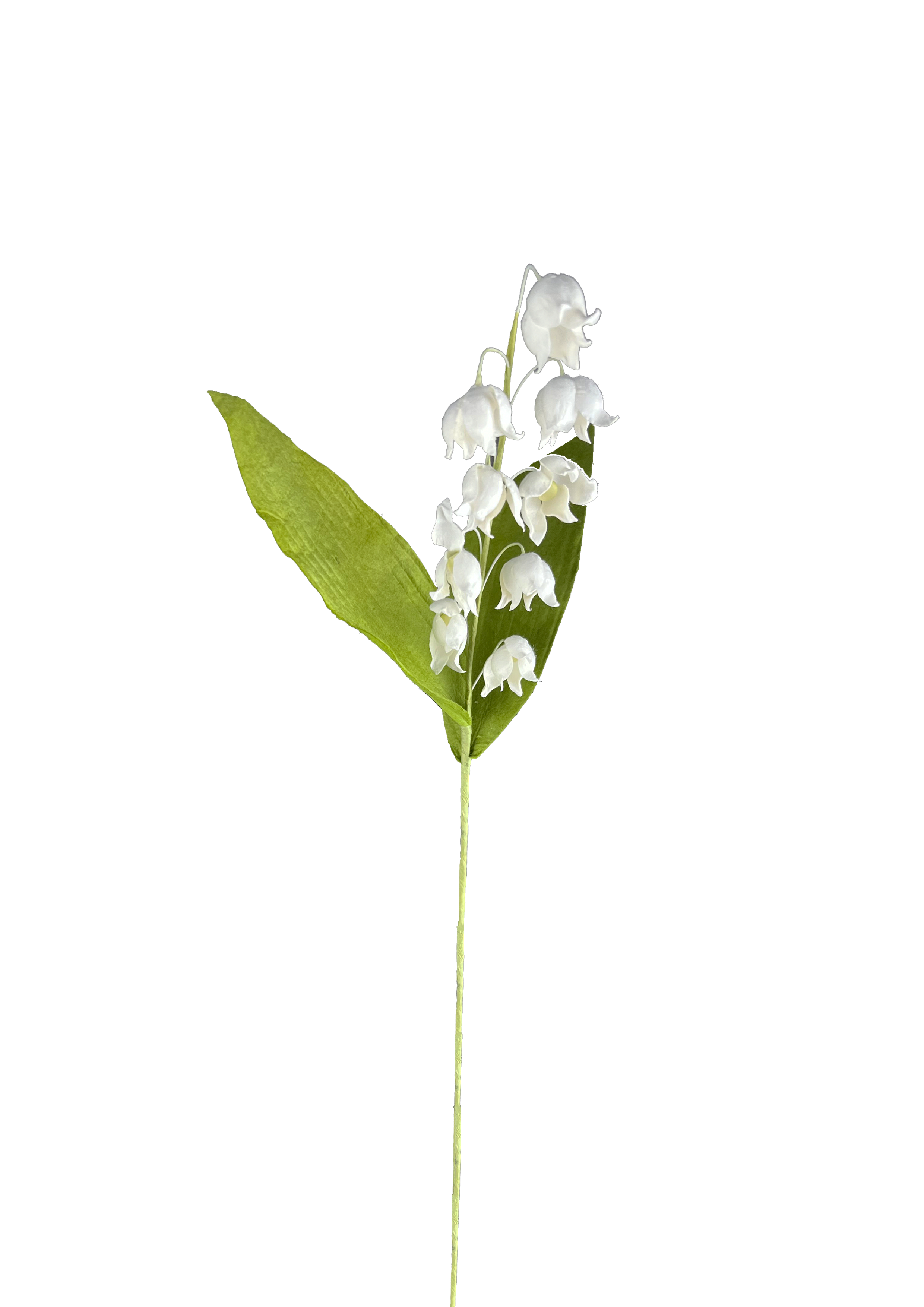 PAPIRBLOMSTER: HVID LILJEKONVAL