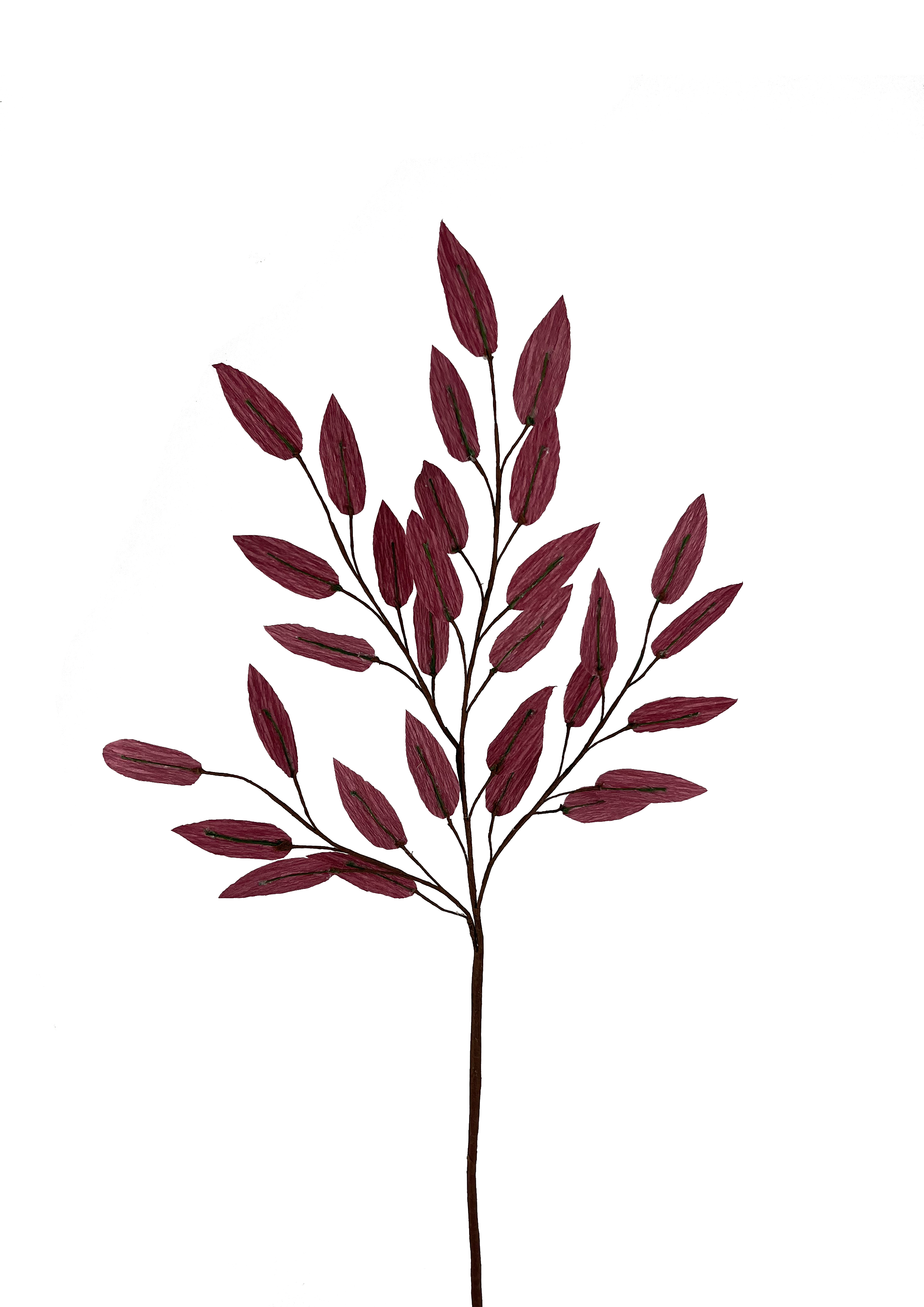 EVIGHEDSBLOMSTER: GREN MED LILLA BLADE