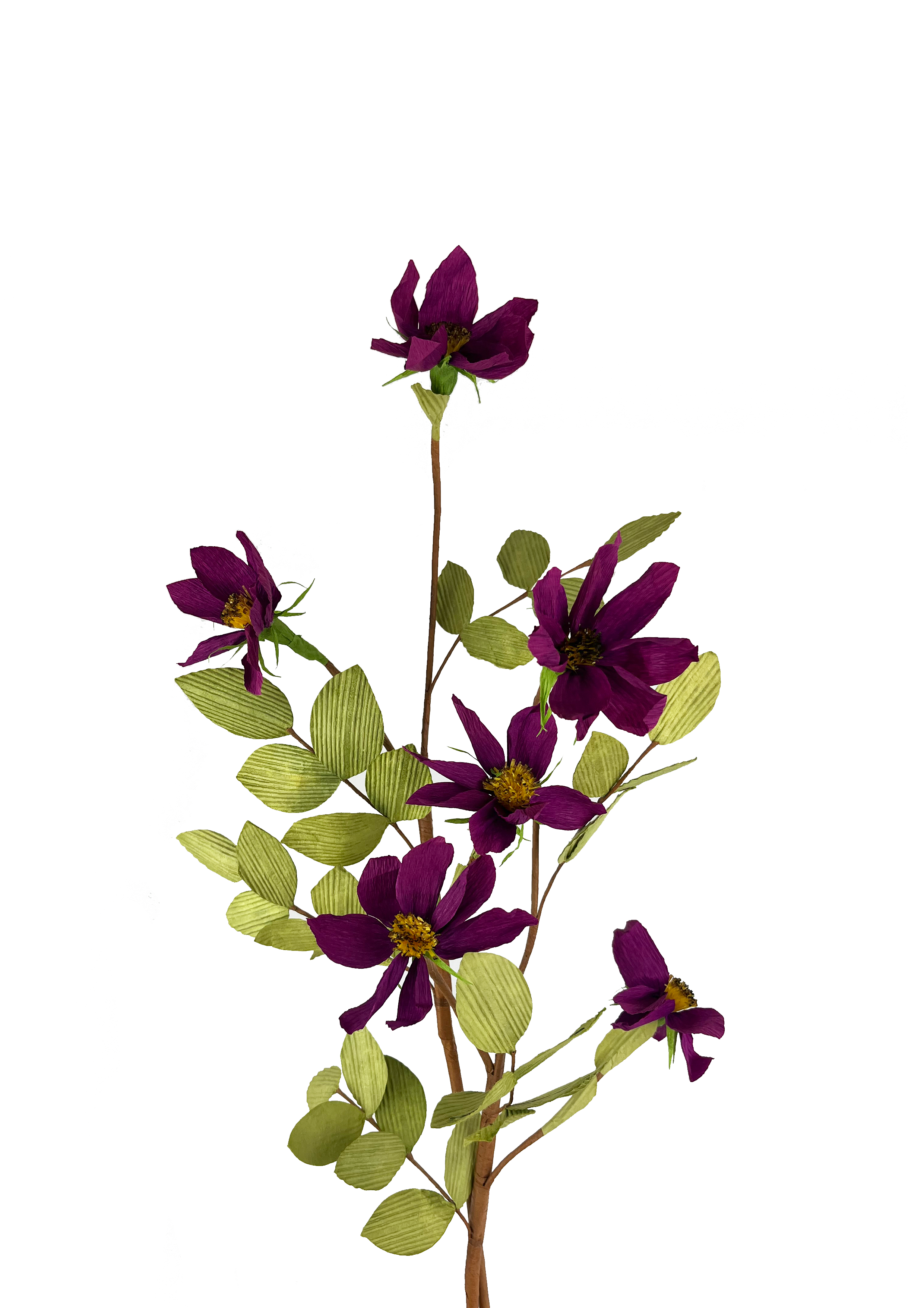 EVIGHEDSBLOMST: LILLA BLOMSTERGREN