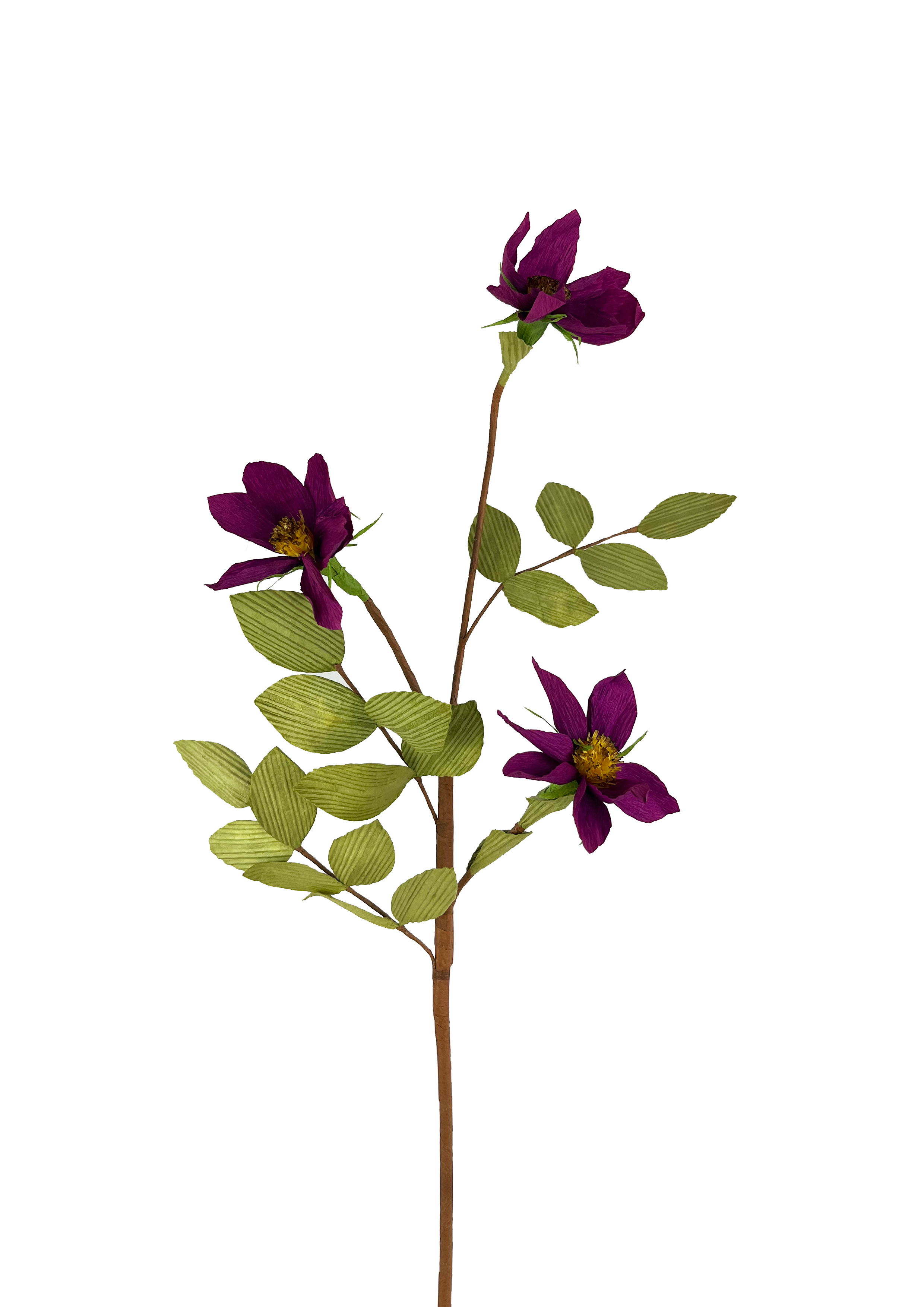 EVIGHEDSBLOMST: LILLA BLOMSTERGREN