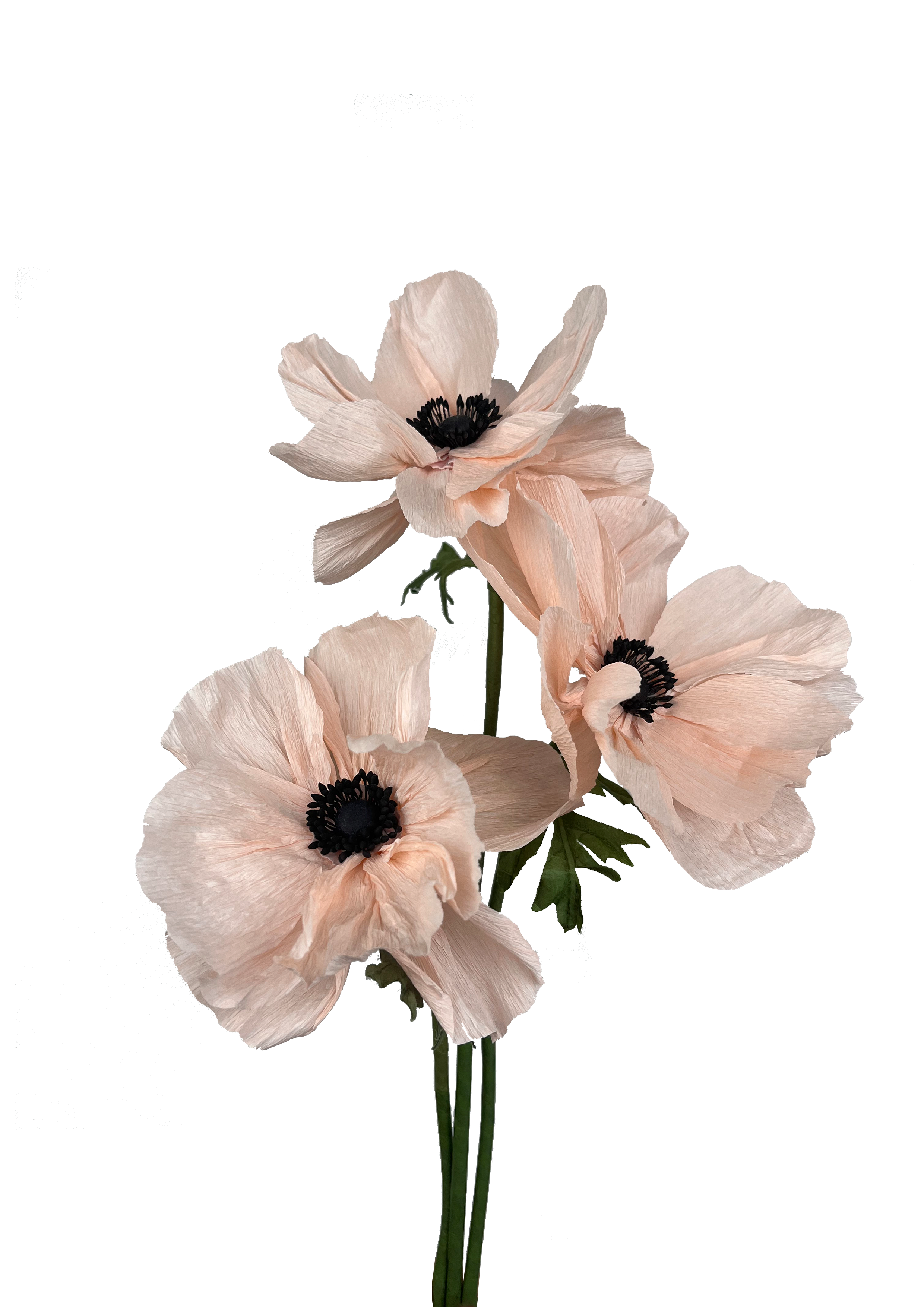 CREPE PAPIRBLOMSTER: LYSERØD ANEMONE