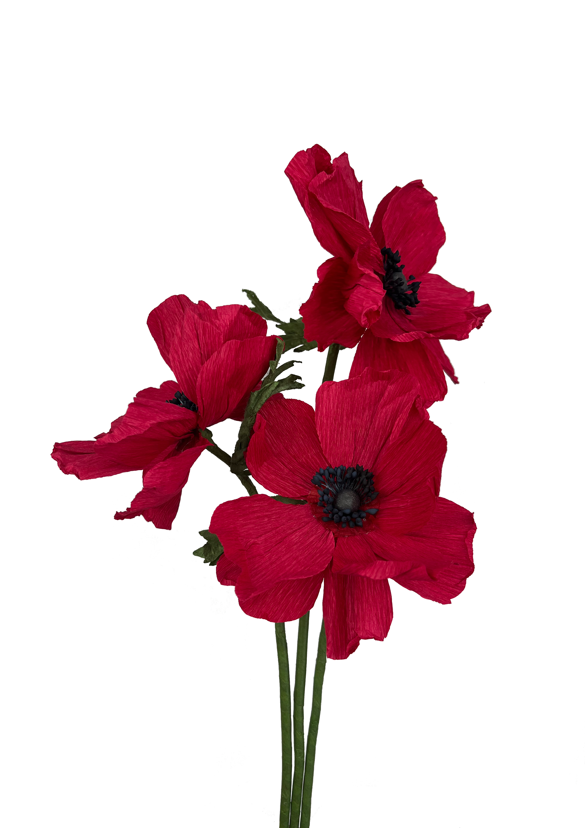 CREPE PAPIRBLOMSTER: RØD ANEMONE