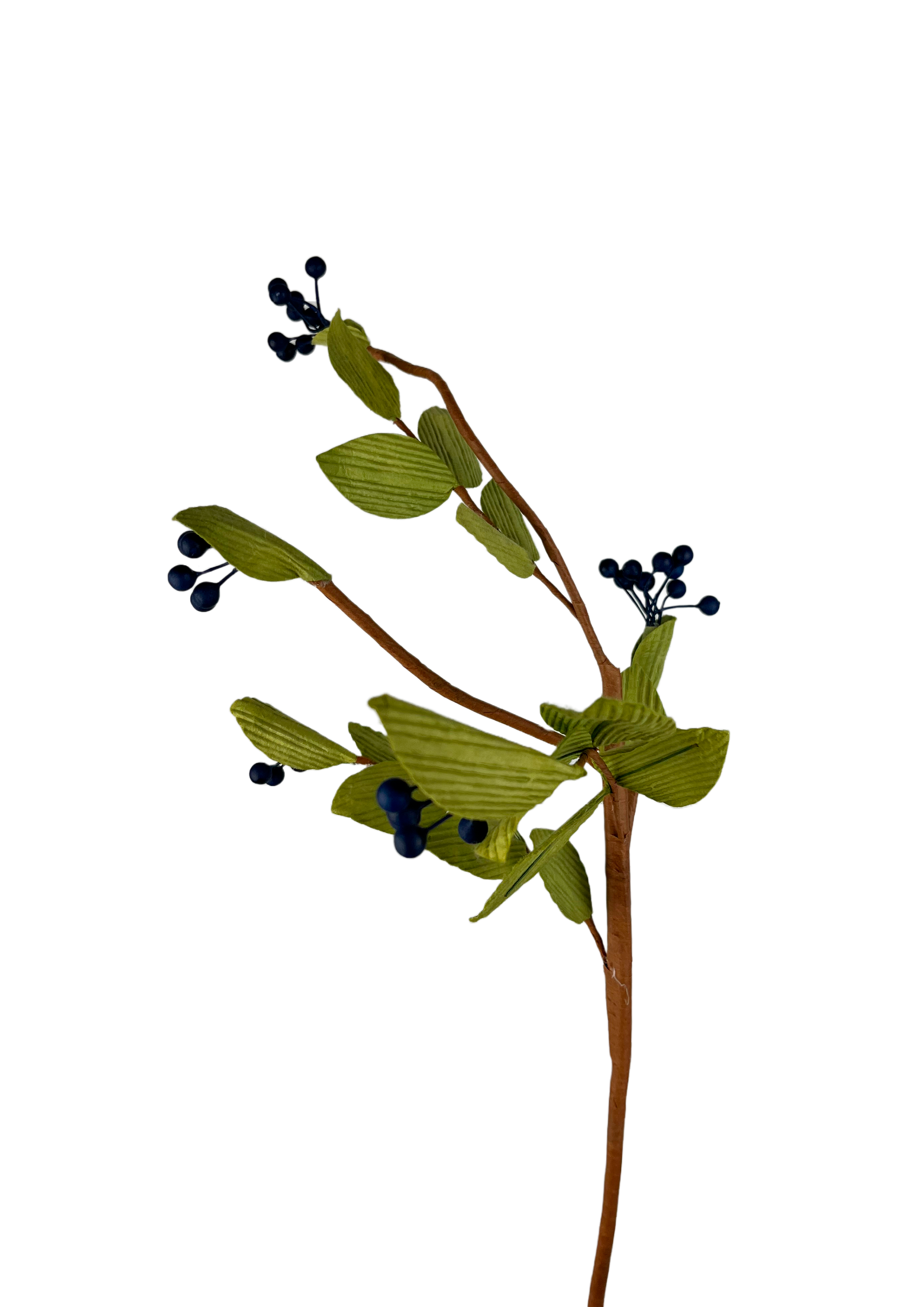 EVIGHEDSBLOMST: BLÅBÆR GREN