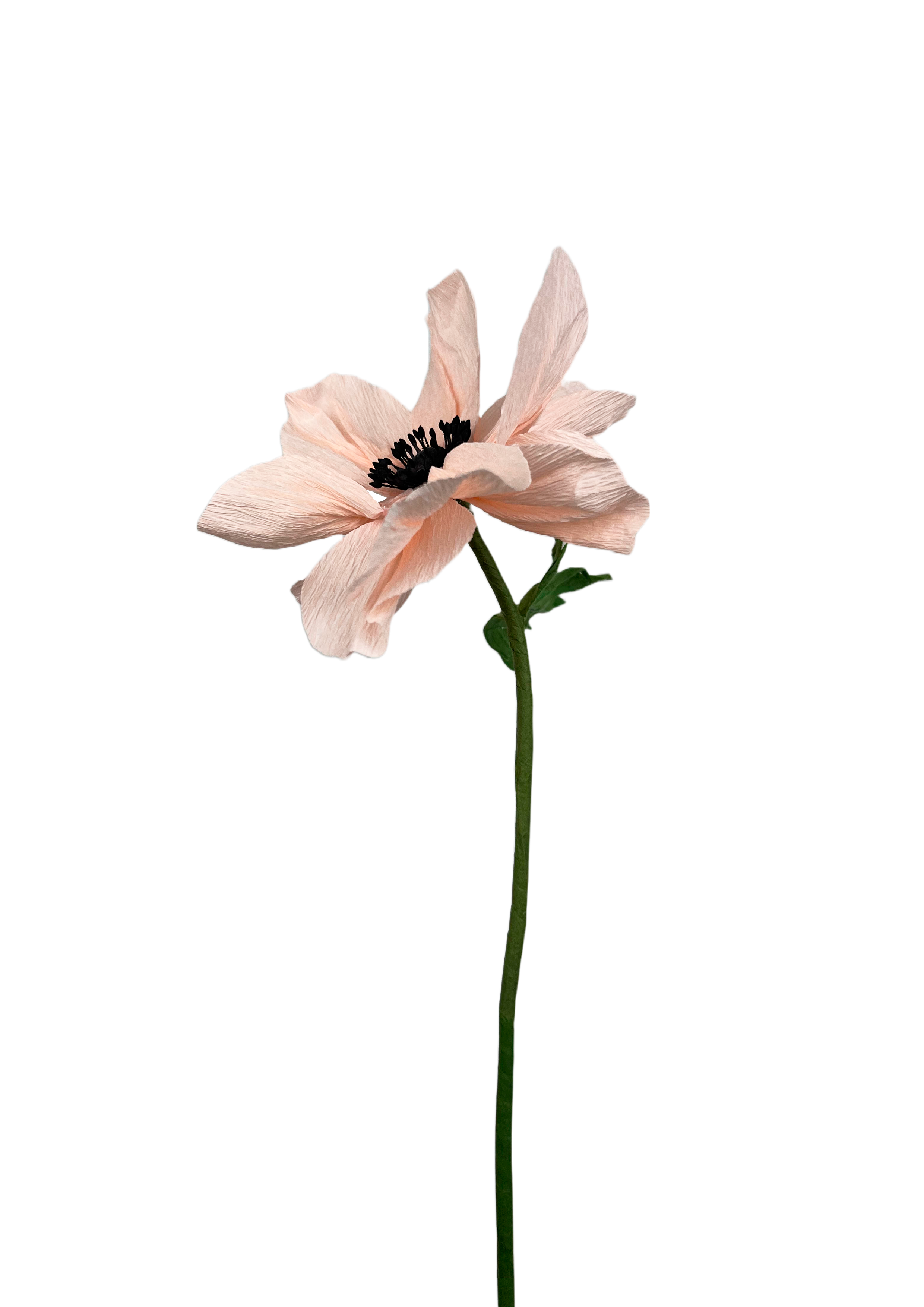 CREPE PAPIRBLOMSTER: LYSERØD ANEMONE