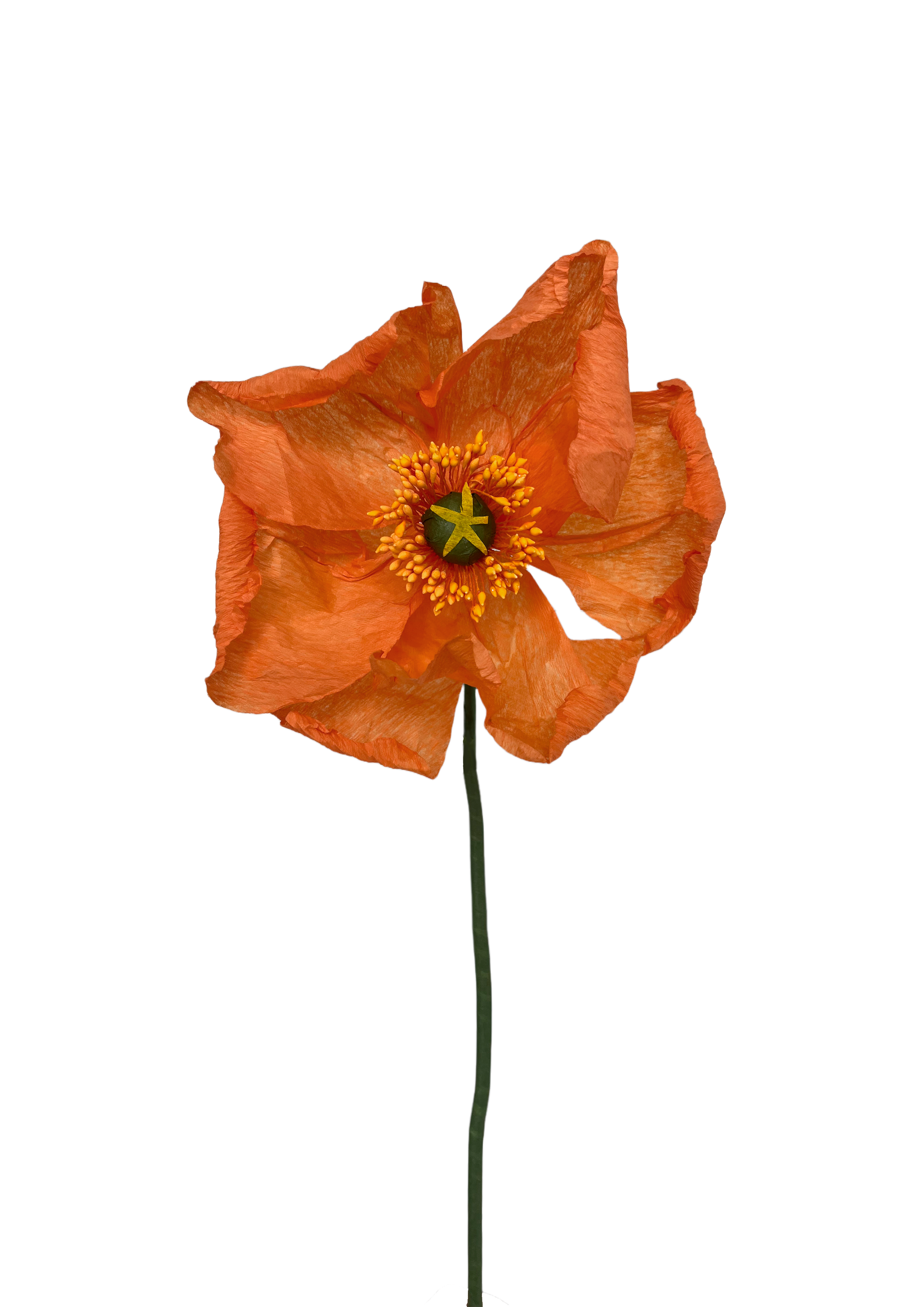 PAPIRBLOMST: ORANGE POPPY
