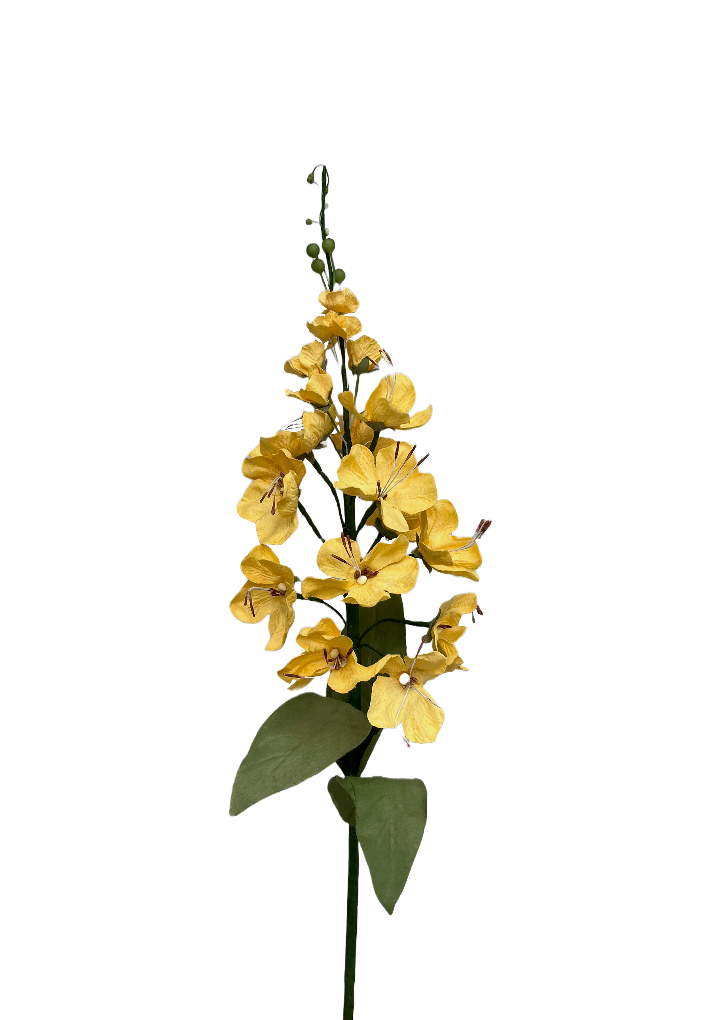 EVIGHEDSBLOMST: GULDREGN