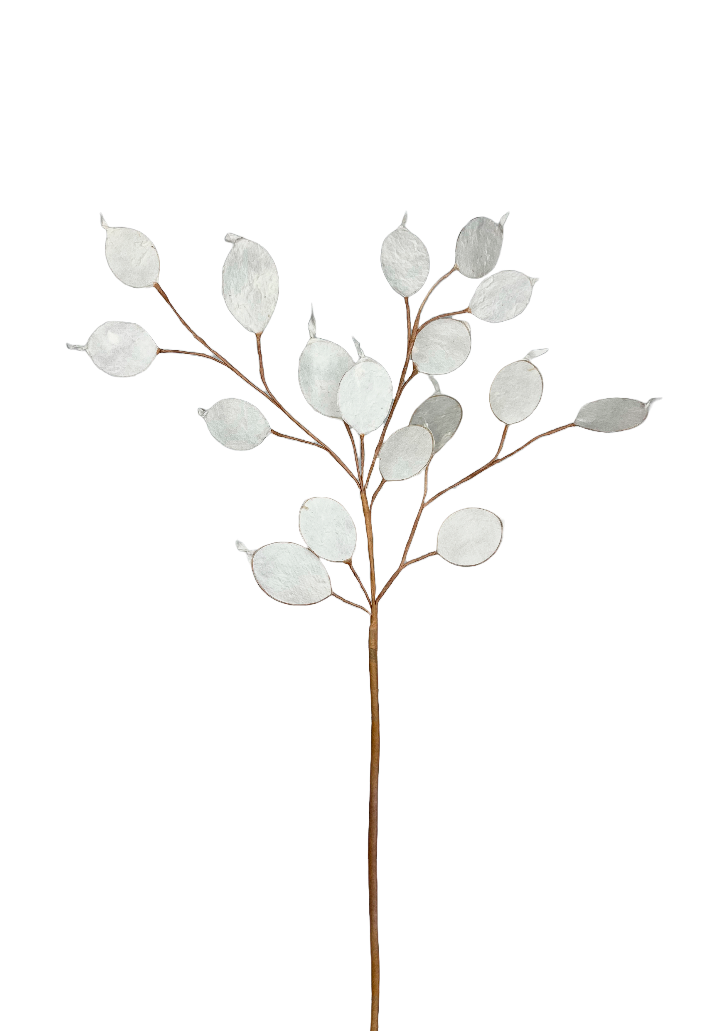 PAPIRBLOMSTER: LUNARIA