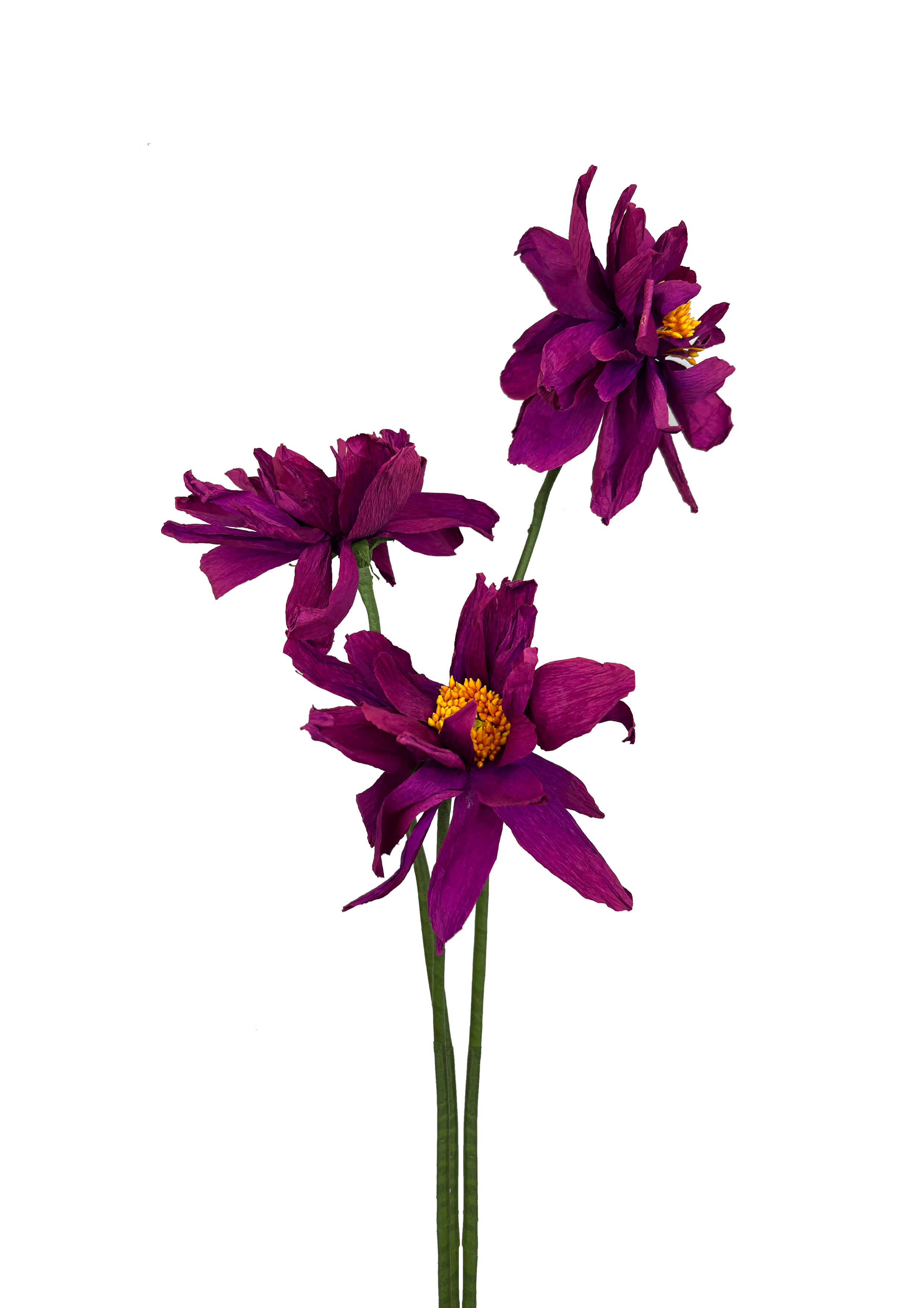 CREPE PAPIRBLOMSTER: LILLA PÆON