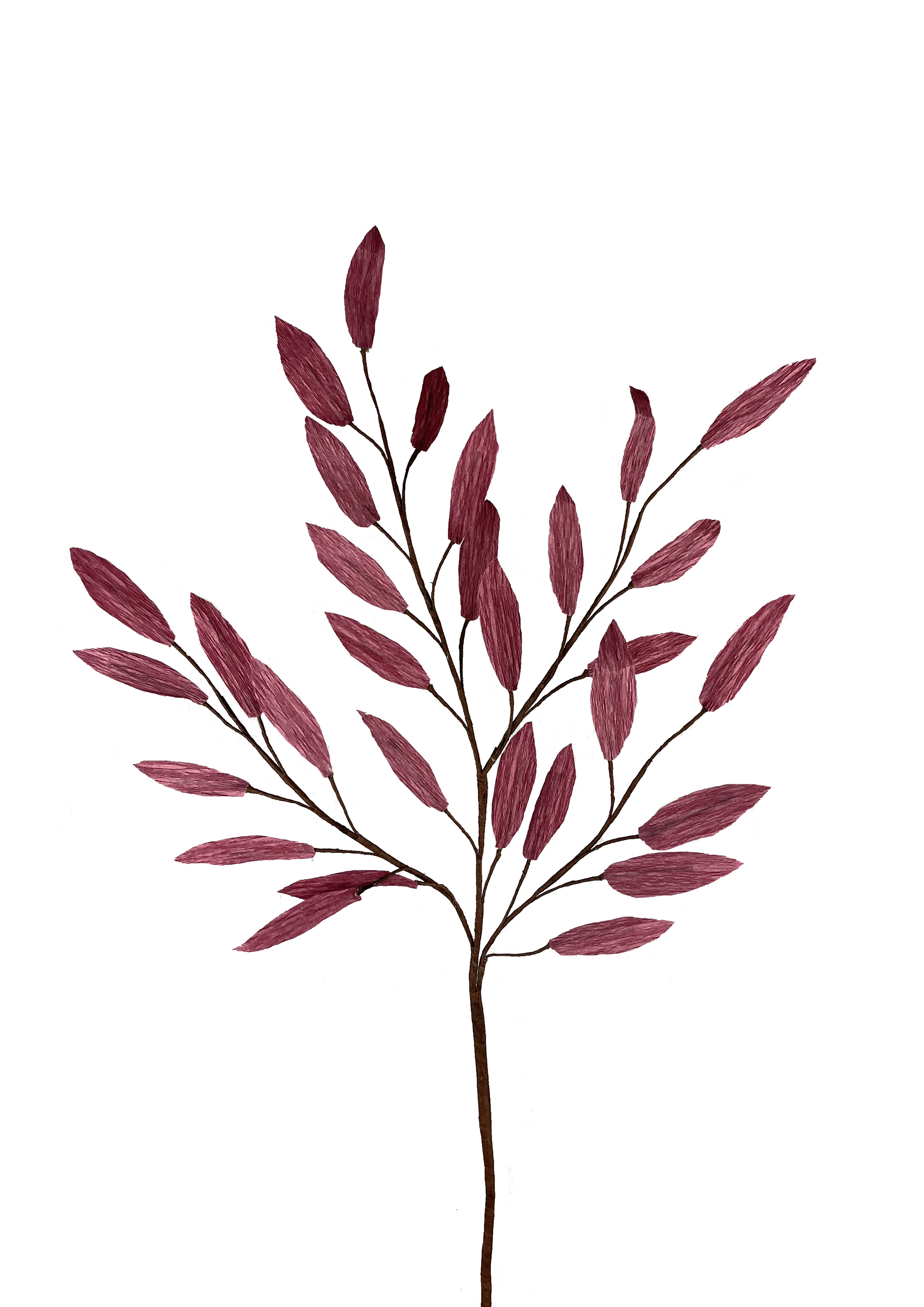 EVIGHEDSBLOMSTER: GREN MED LILLA BLADE