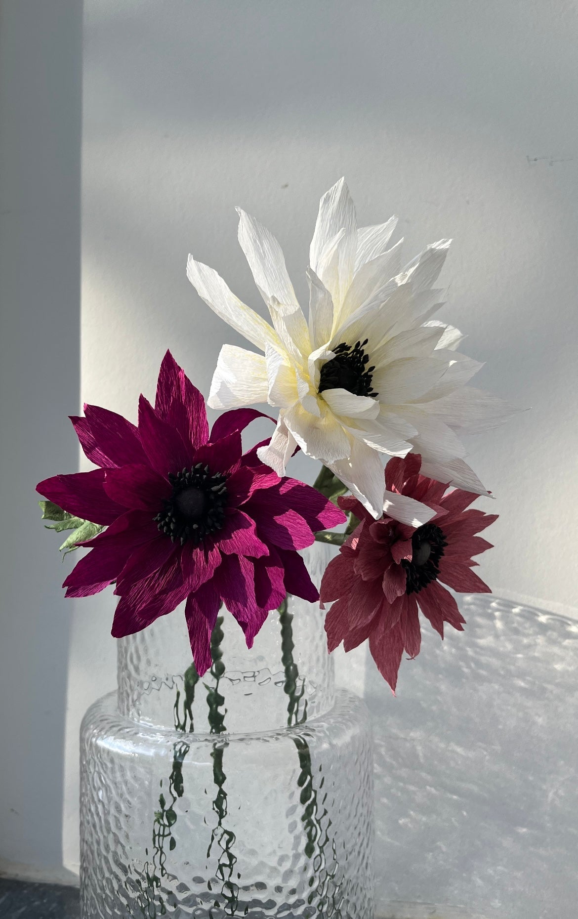 EVIGHEDSBLOMST: LILLA DAHLIA