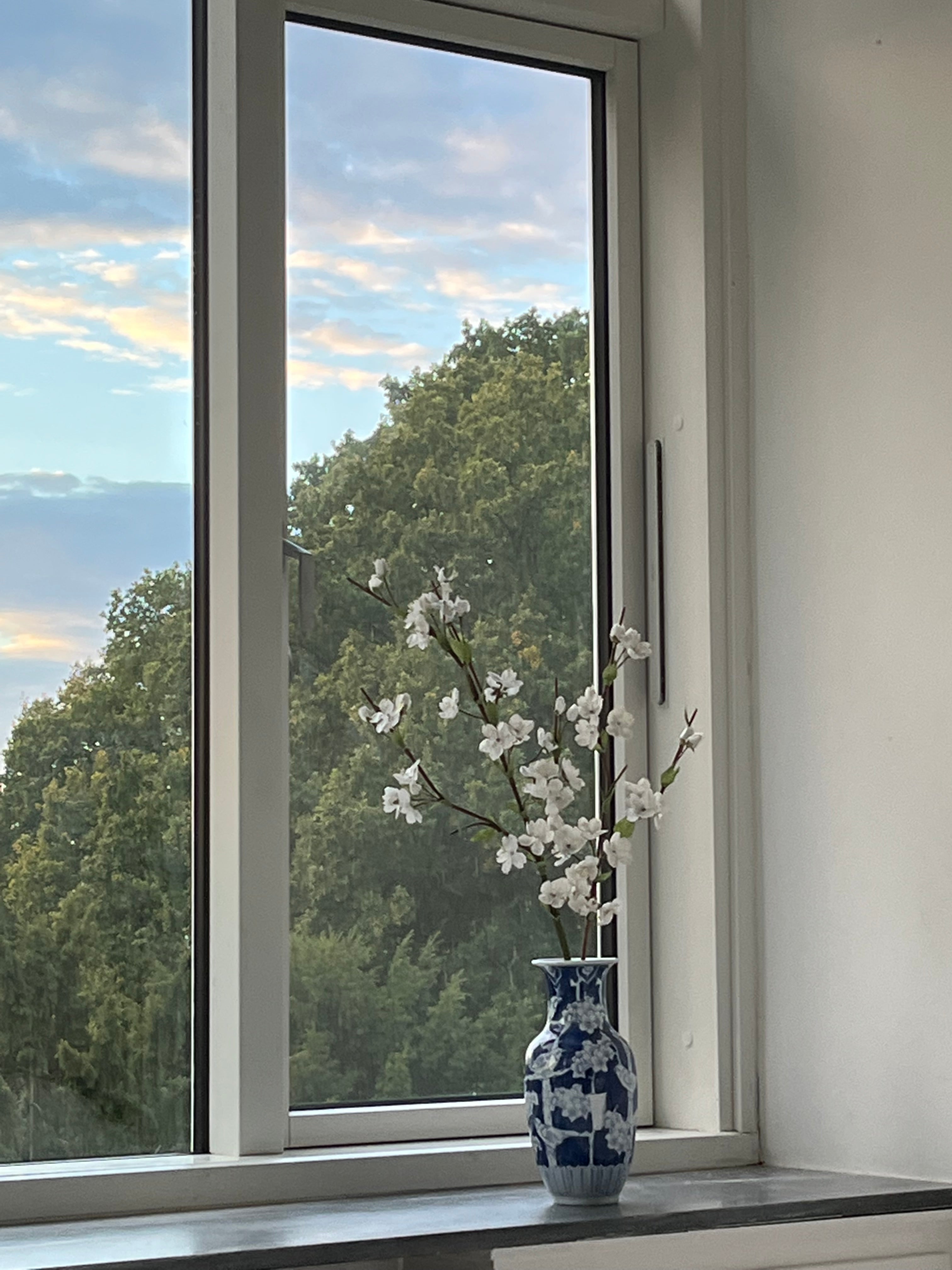 EVIGHEDSBLOMST: KIRSEBÆRGREN - STOR