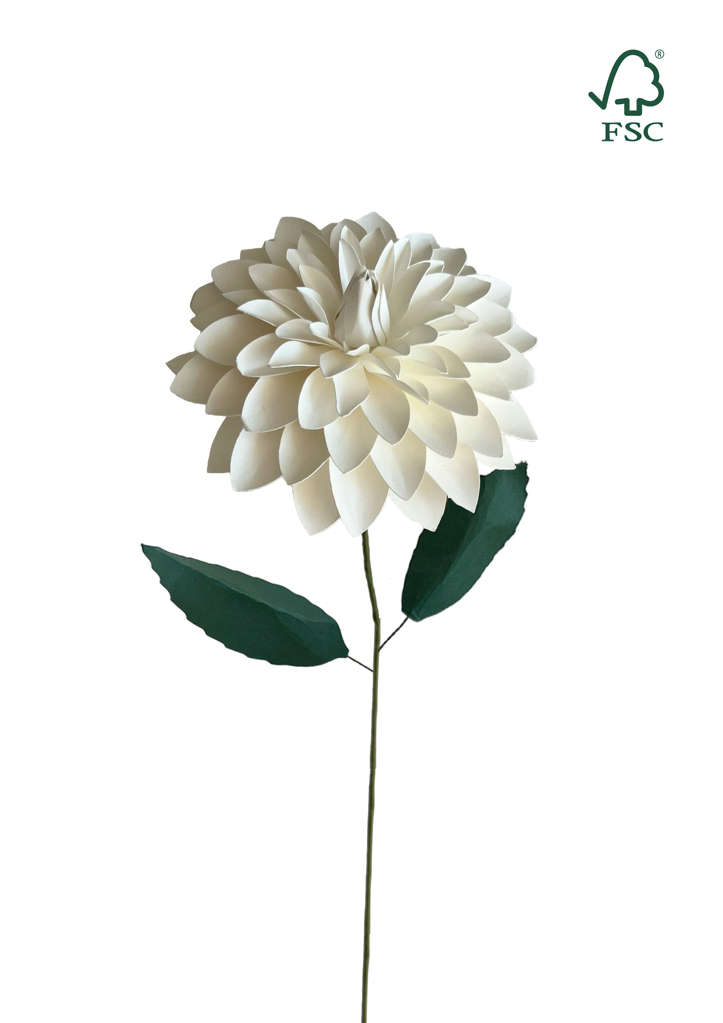 Dahlia – Hvid Papirblomst Dansk Håndværk